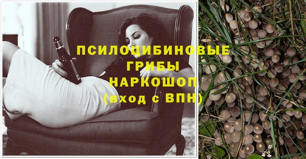 PSILOCYBIN Белокуриха