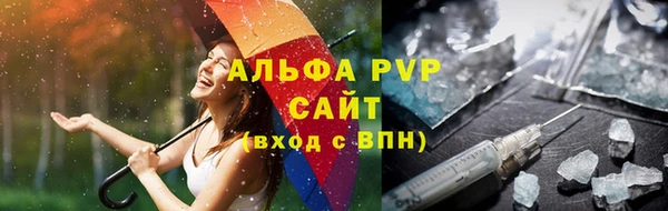 PSILOCYBIN Белокуриха