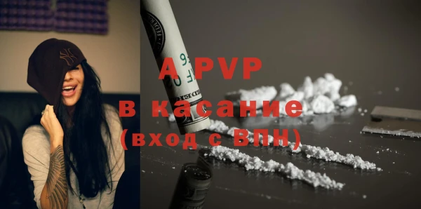 PSILOCYBIN Белокуриха