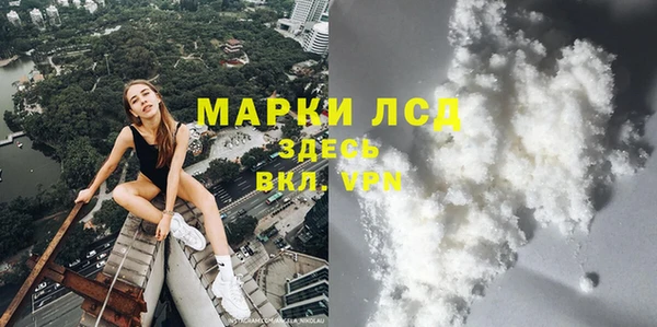 PSILOCYBIN Белокуриха