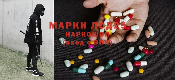 PSILOCYBIN Белокуриха