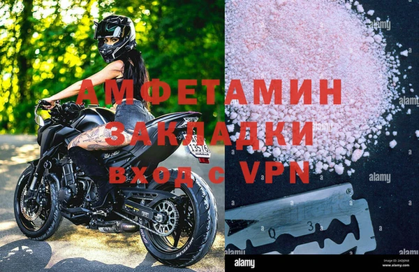 PSILOCYBIN Белокуриха
