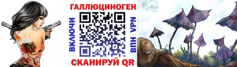 как найти закладки  Каменск-Уральский  Галлюциногенные грибы Magic Shrooms 